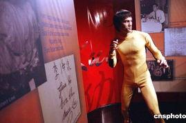 李小龙的老婆照片,探寻传奇夫人的人生轨迹